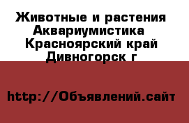 Животные и растения Аквариумистика. Красноярский край,Дивногорск г.